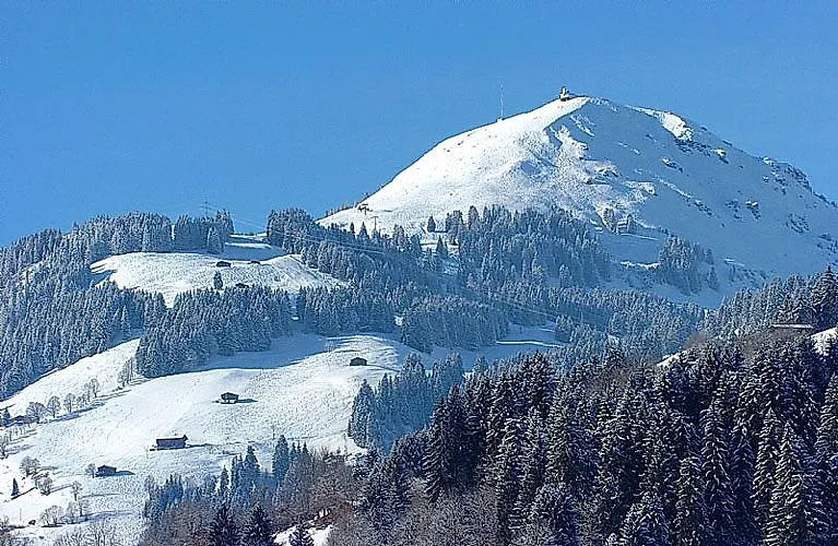 Verschneite Winterlandschaft mit Gipfel und Pistenblick in der SkiWelt Söll.