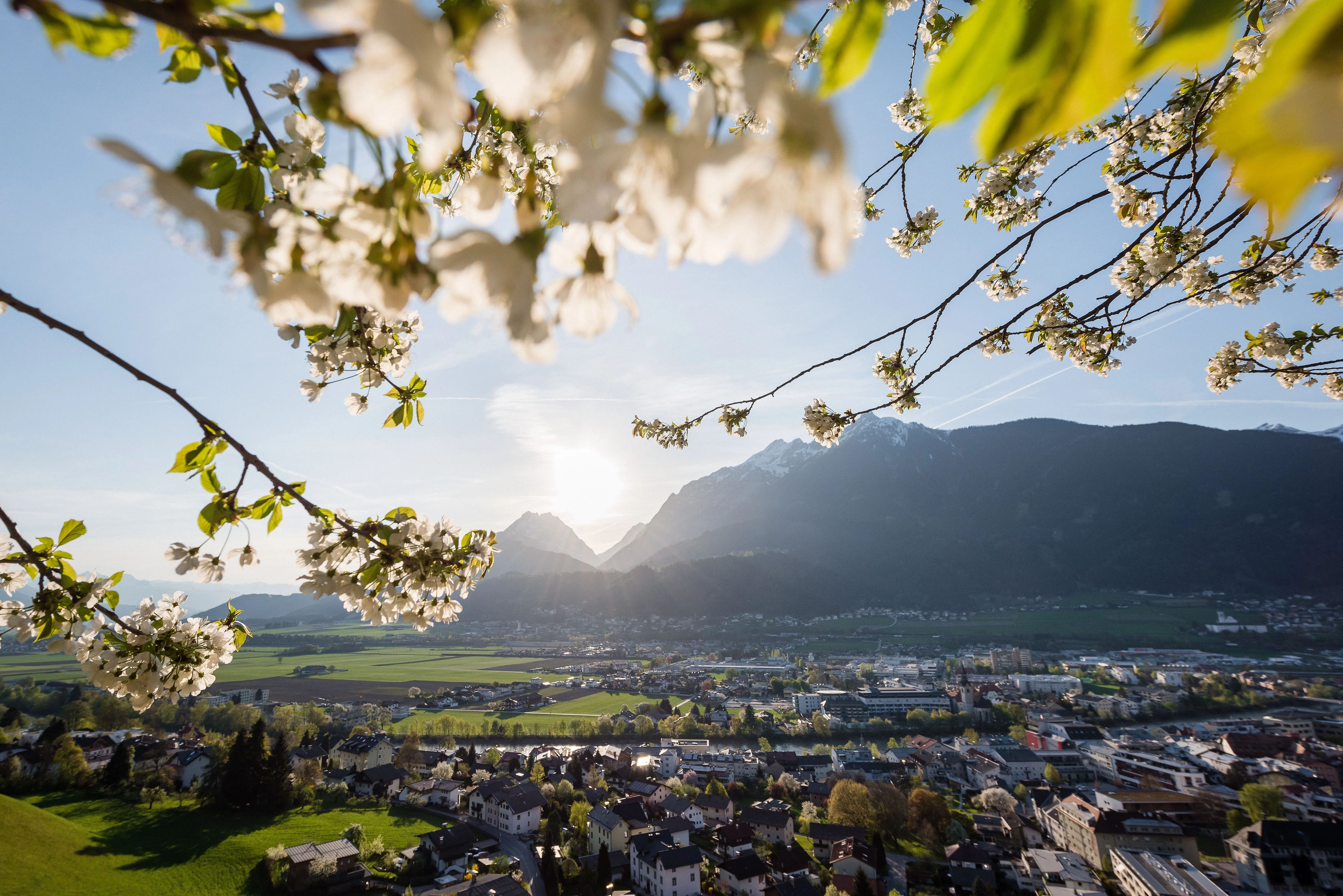 Blick auf Schwaz in Tirol mit blühenden Bäumen im Vordergrund und Berglandschaft bei Sonnenuntergang