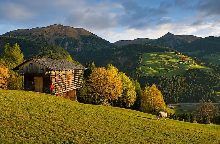 Alpská chata v Lesachtale s pasením kráv pred horskou panorámou