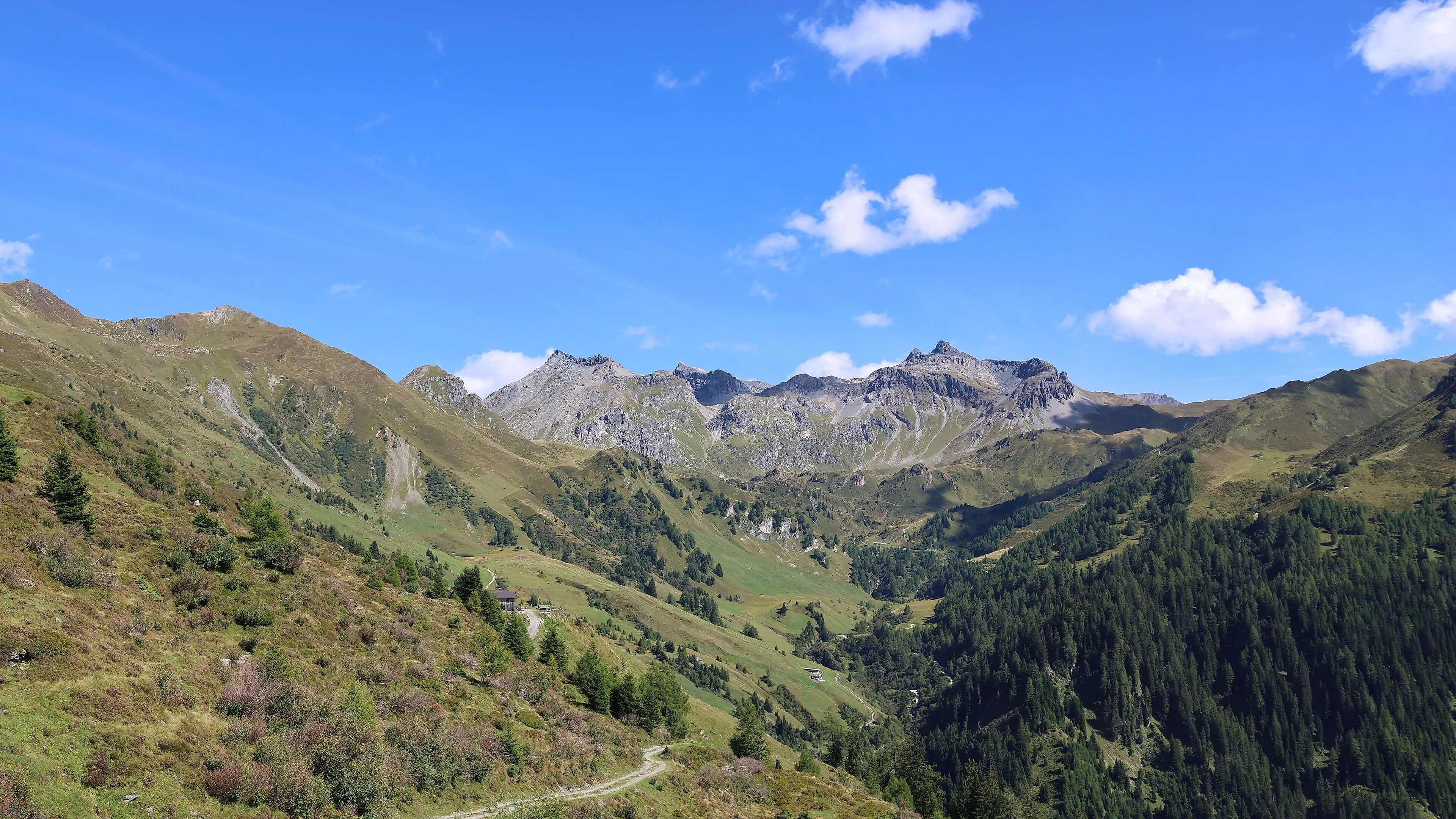 Sommer-Panorama von der Peer Alm in Navis auf die grünen Almen und Gipfel der Tiroler Berge