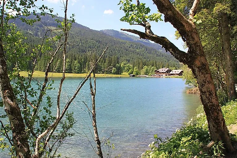 Kristallklarer See bei Wagrain, eingerahmt von Bäumen und grünen Wäldern – ein ruhiger Rückzugsort für Naturliebhaber.
