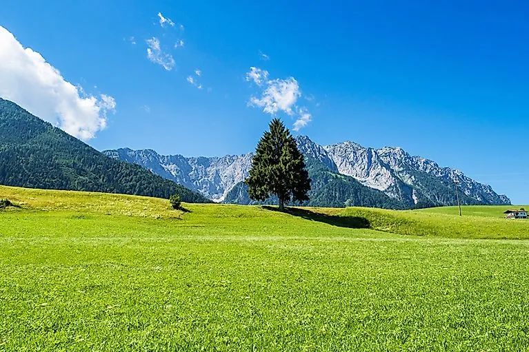 Grüne Wiesen mit Blick auf den Walchsee und das Kaisergebirge an einem sonnigen Sommertag
