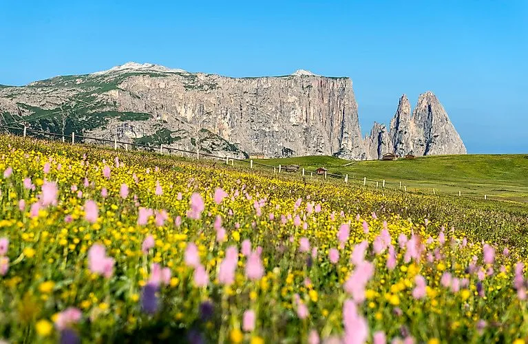 Grüne Almwiesen auf der Seiser Alm vor beeindruckender Dolomitenkulisse im Sommer
